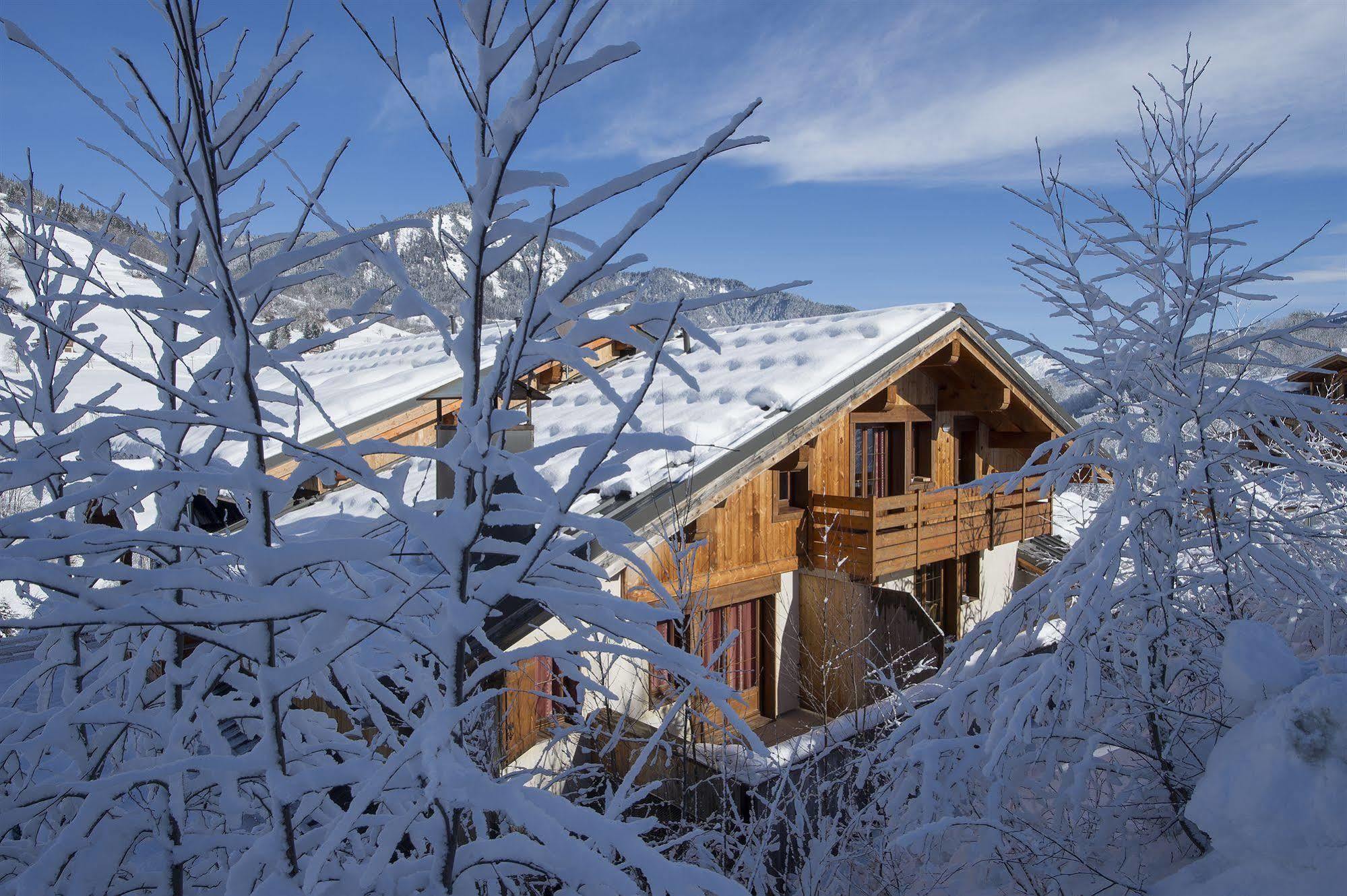 Residence Nemea Les Chalets Des Evettes フルメ エクステリア 写真